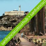 Alcatraz and Muir Woods Sausalito Tour